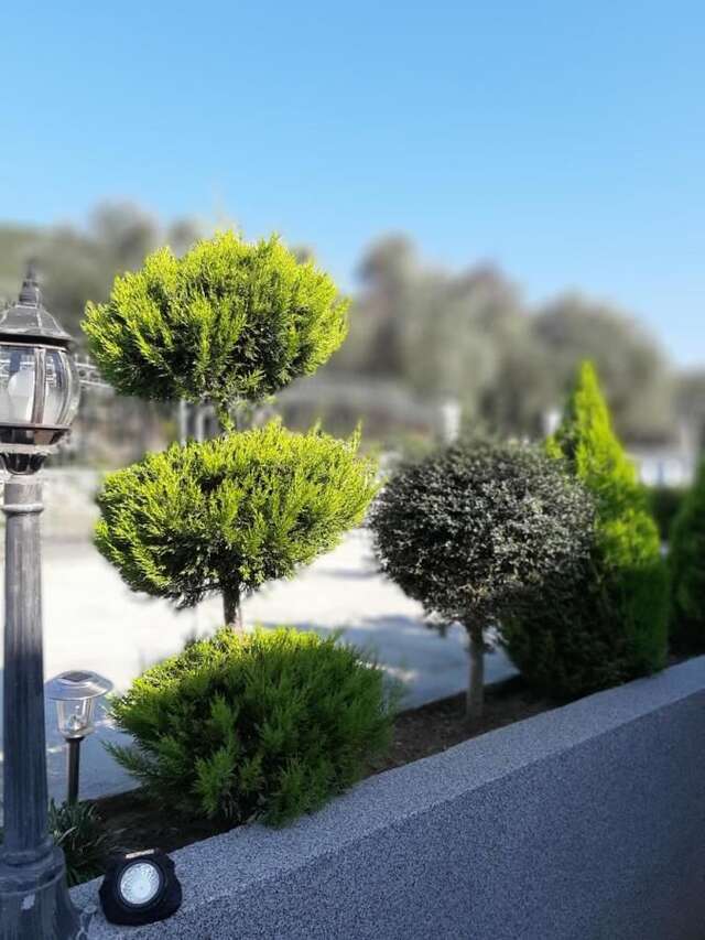 Апартаменты Apartments Pepdjonovic Улцинь-23